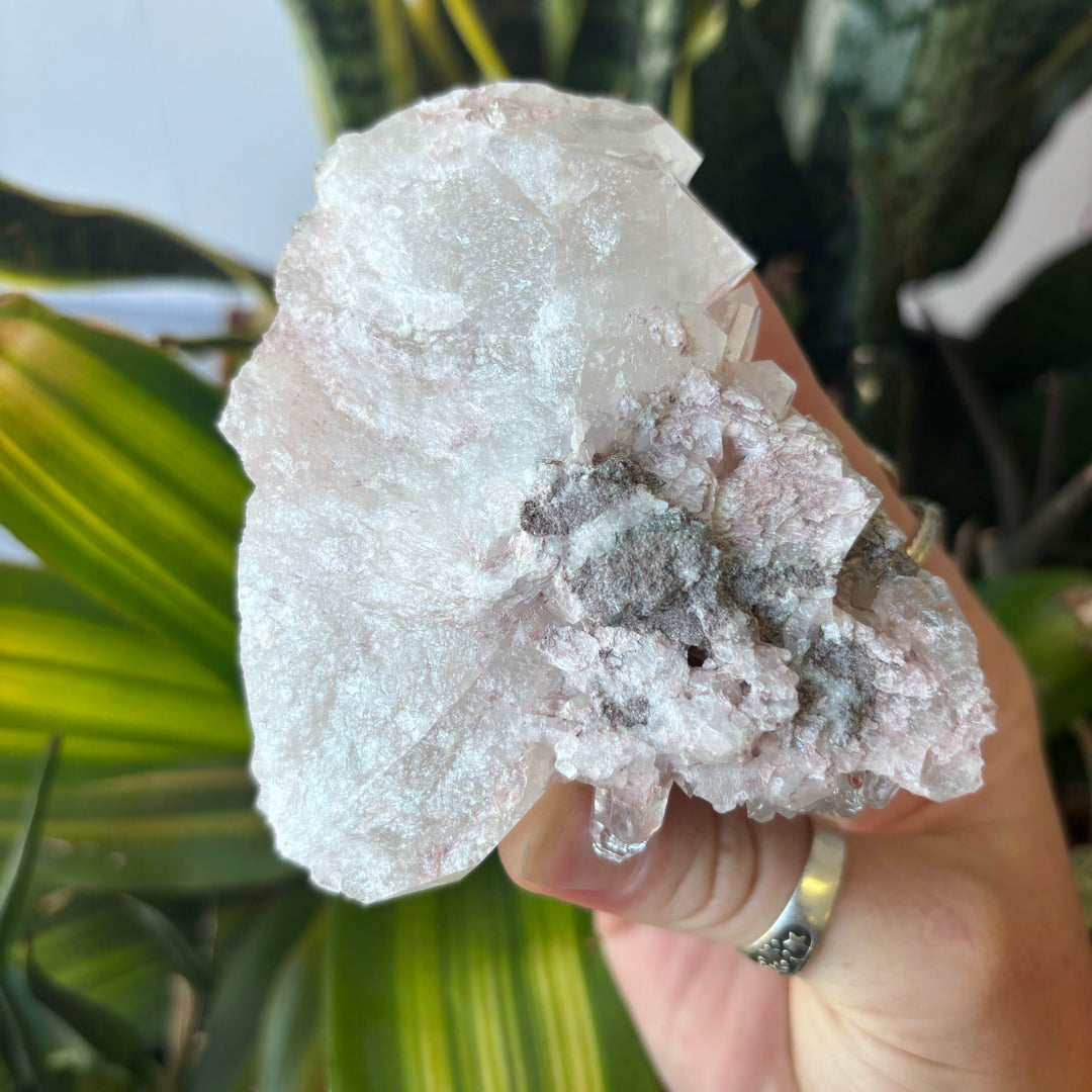 'AAA' Grade Lemurian Cluster LEM7-5