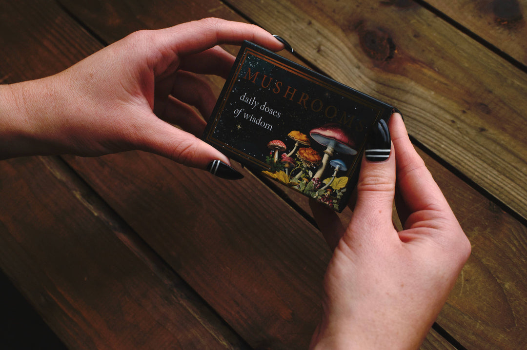 Mushrooms: Daily Doses of Wisdom (36 Gilt-Edged Mini Cards)