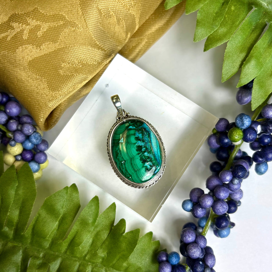 Malacolla SS Pendant -JCP427