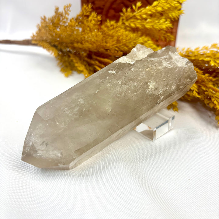 Smoky Lemurian Rough Point LEM1-19