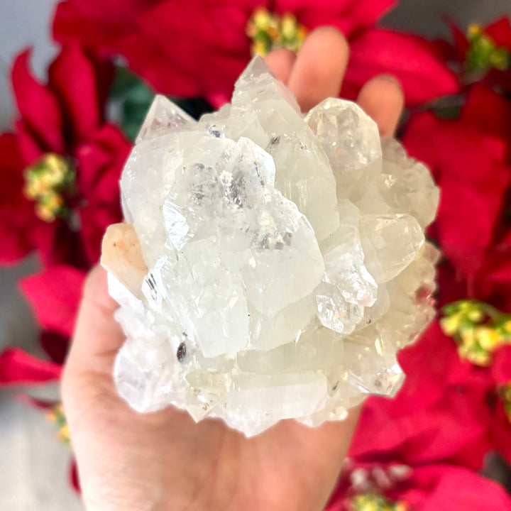 "AAA" Apophyllite Cluster APO4-14