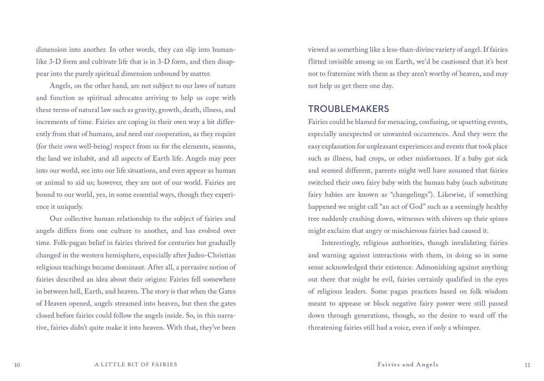 A Little Bit of Fairies by Elaine Clayton