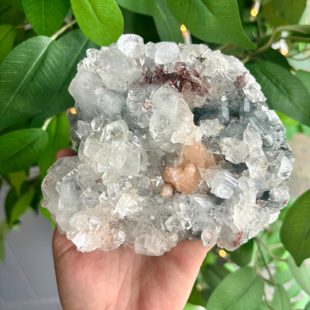 "AAA" Apophyllite Cluster APO4-10