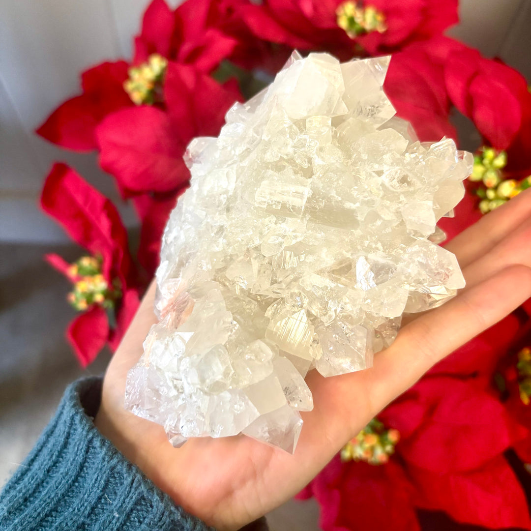 "AAA" Apophyllite Cluster APO4-15