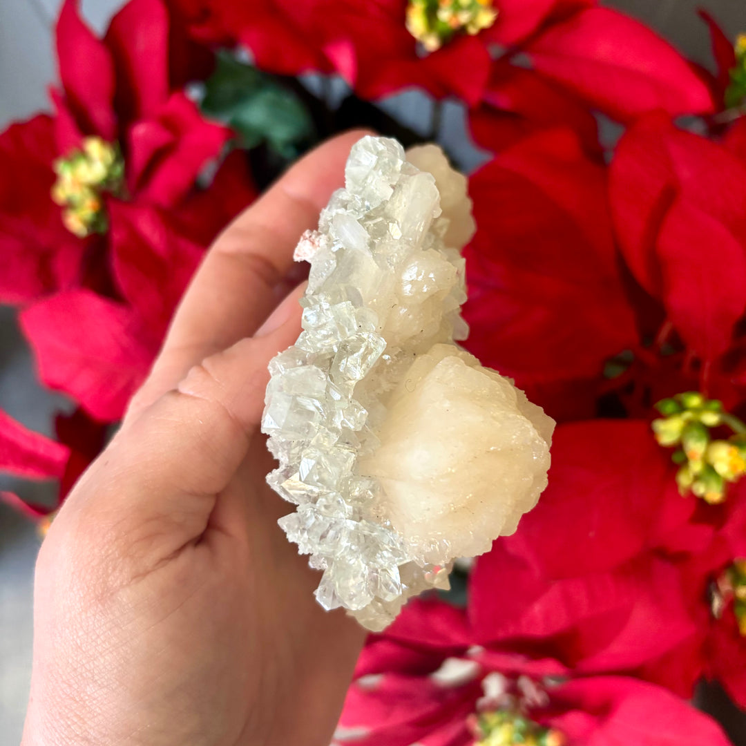 "AAA" Apophyllite Cluster APO4-12