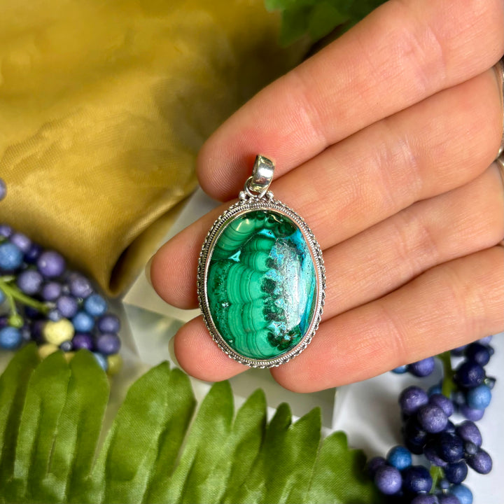 Malacolla SS Pendant -JCP427