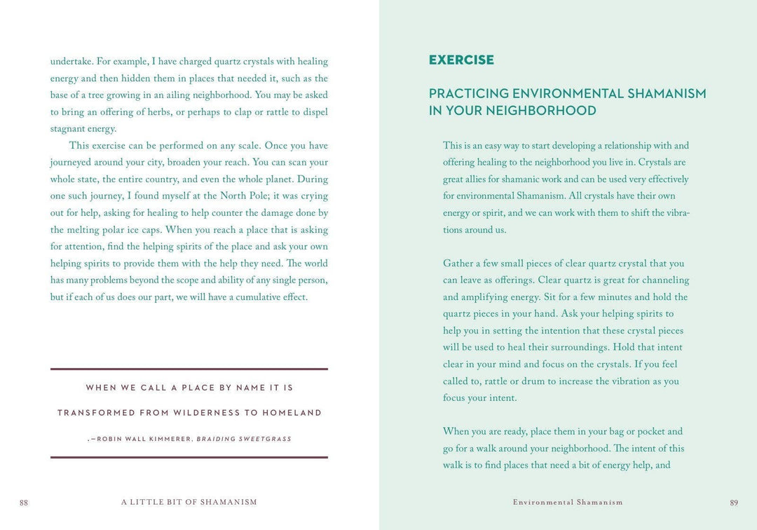 A Little Bit of Shamanism by Ana Campos