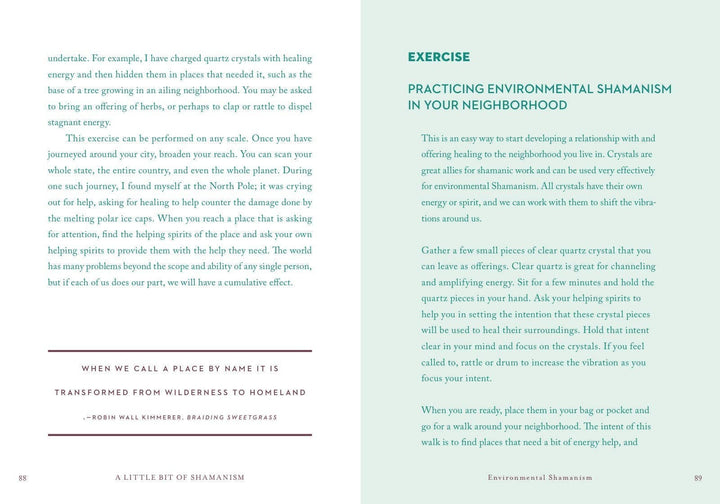 A Little Bit of Shamanism by Ana Campos