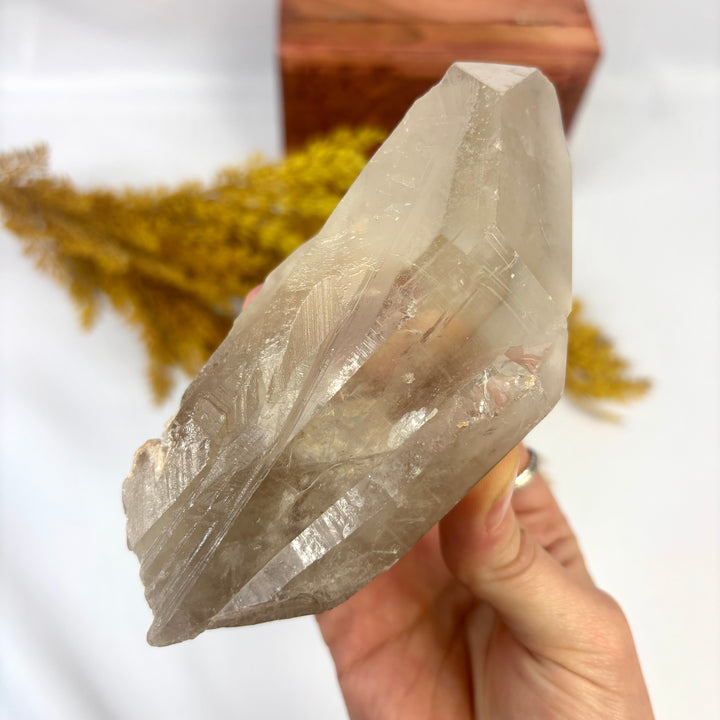Smoky Lemurian Rough Point LEM1-17