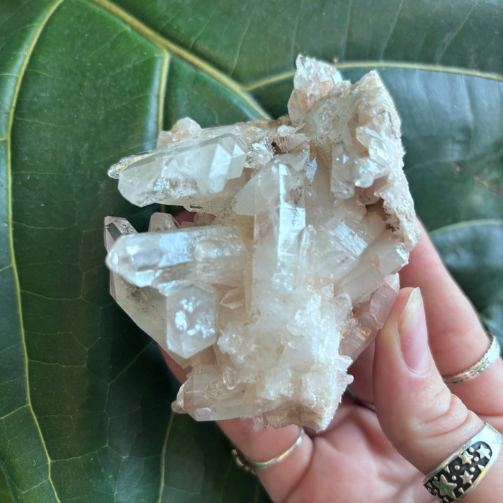 'AAA' Grade Lemurian Cluster LEM7-3