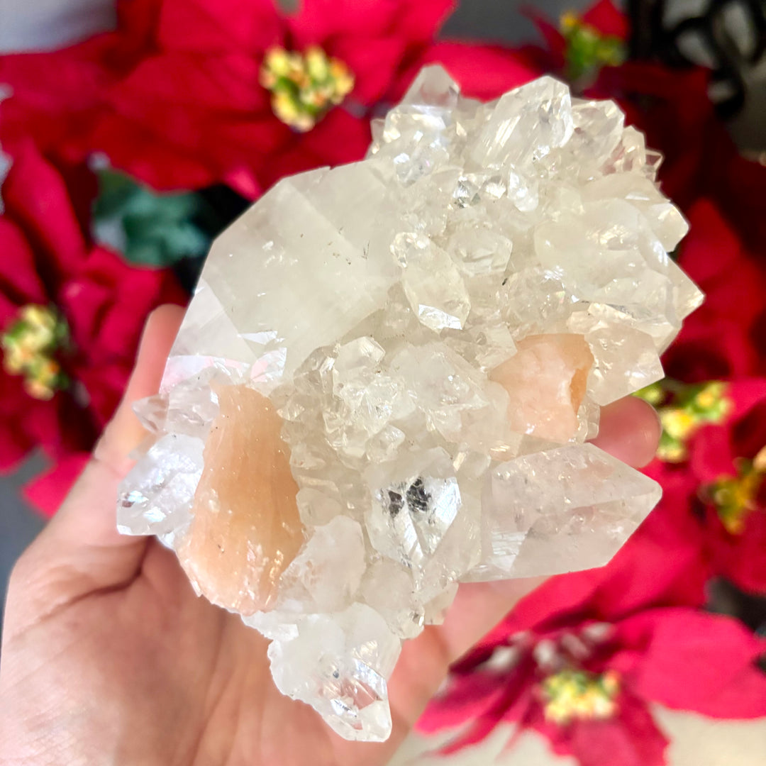 "AAA" Apophyllite Cluster APO4-13