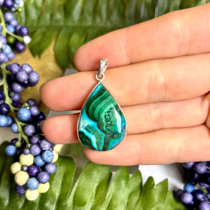 Malacolla SS Pendant -JCP458