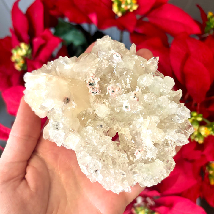 "AAA" Apophyllite Cluster APO4-12