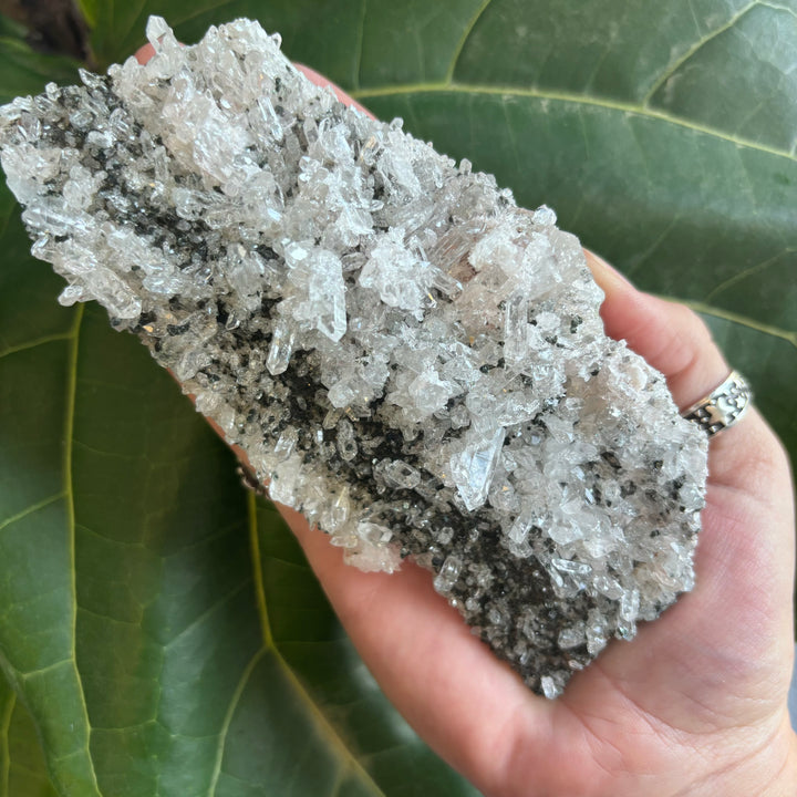 'AAA' Grade Lemurian Cluster LEM7-7