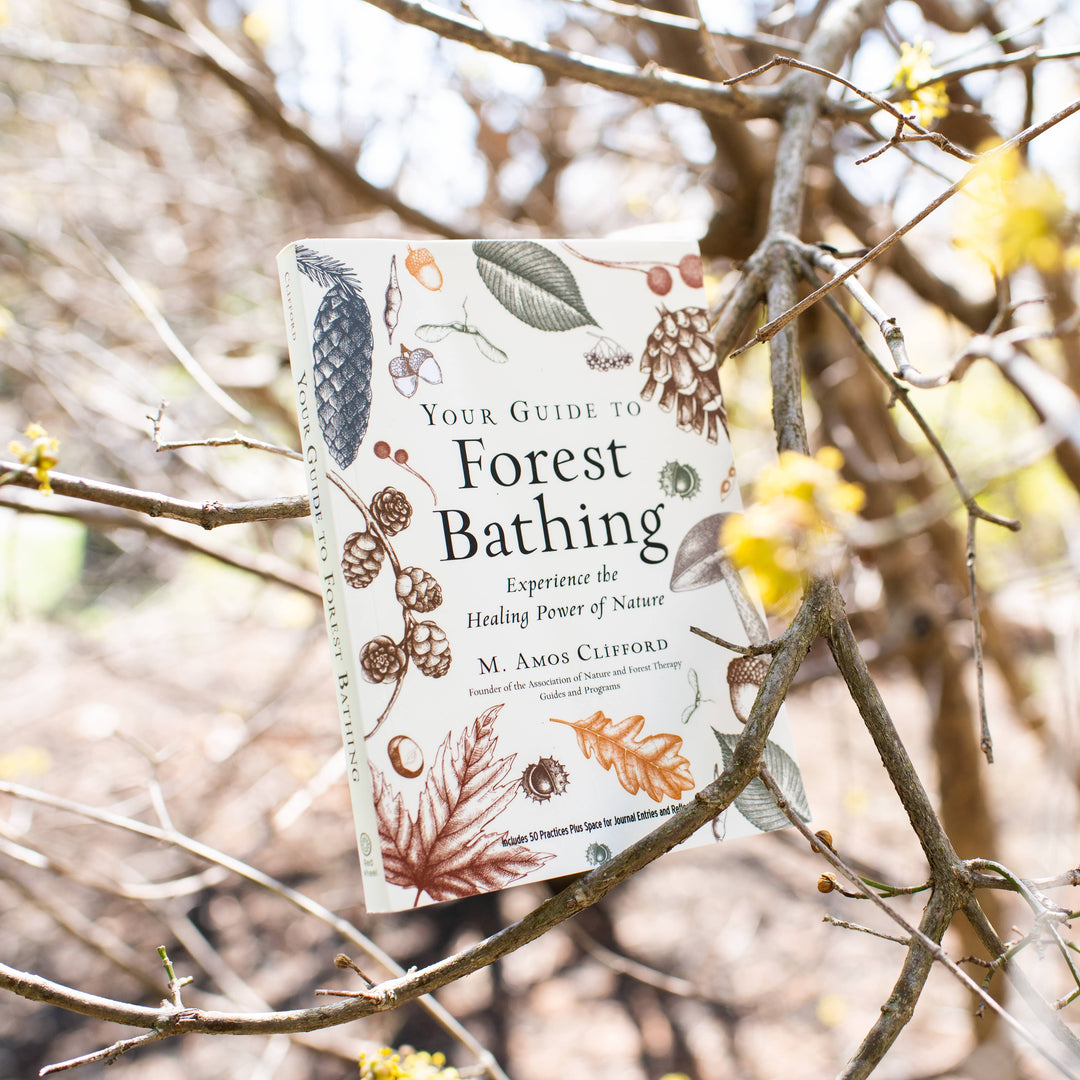 Your Guide to Forest Bathing: Expanded Edition
