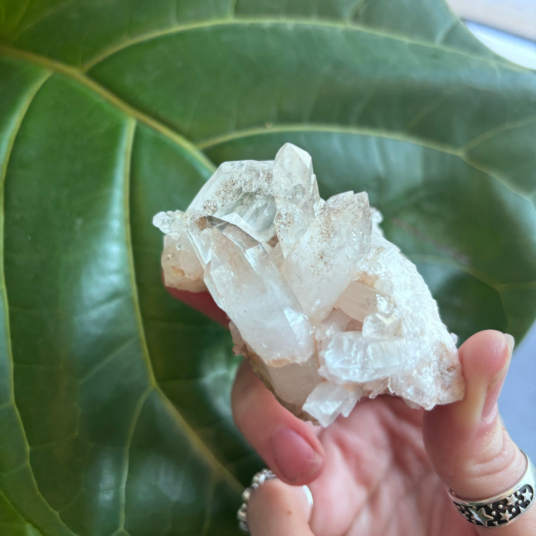 'AAA' Grade Lemurian Cluster LEM7-3