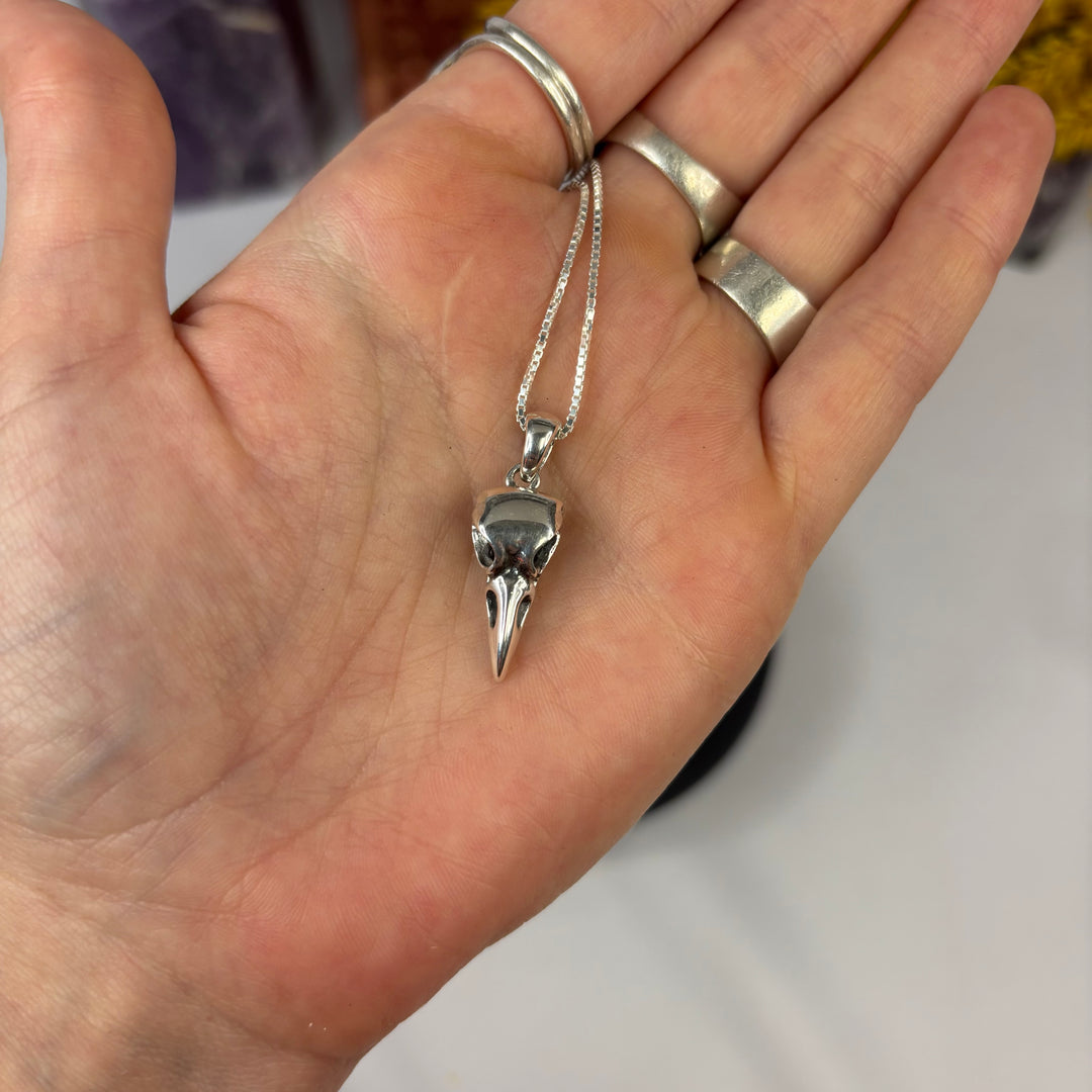 Raven Skull SS Pendant w/ 16" SS Chain -MJ179