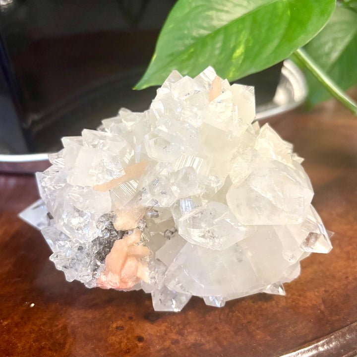 "AAA" Apophyllite Cluster APO4-15