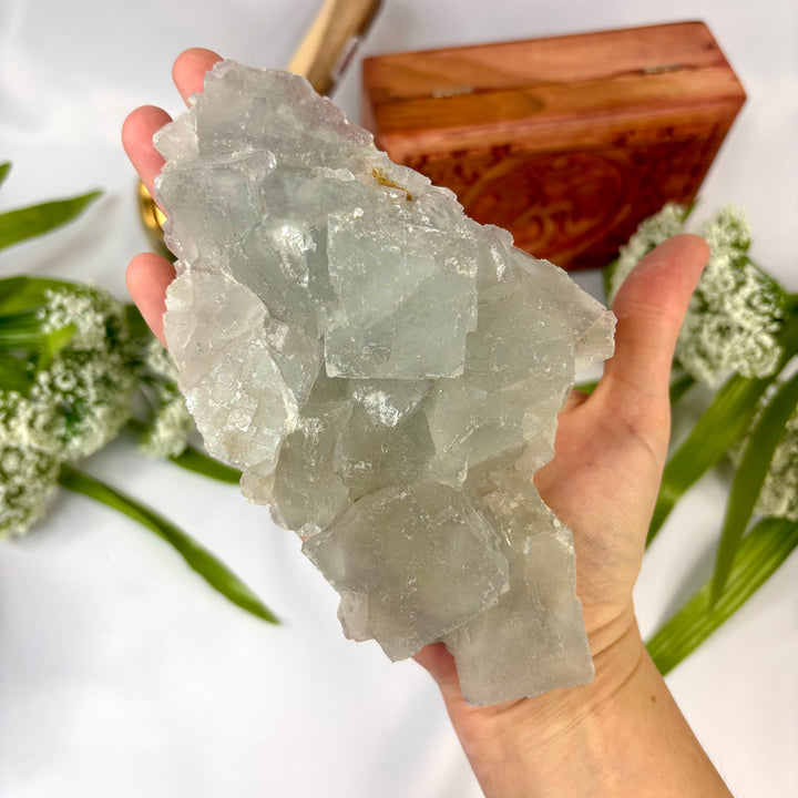 Chinese Fluorite Cluster -FL1-26