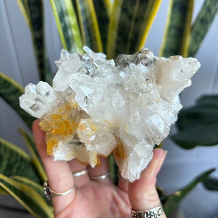 'AAA' Grade Lemurian Cluster LEM7-9