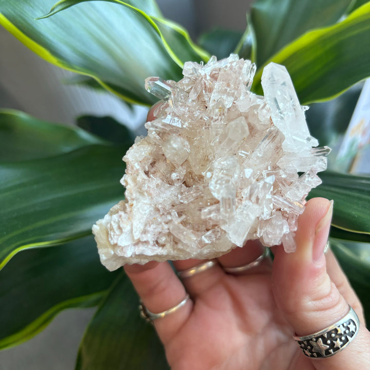 'AAA' Grade Lemurian Cluster LEM7-1