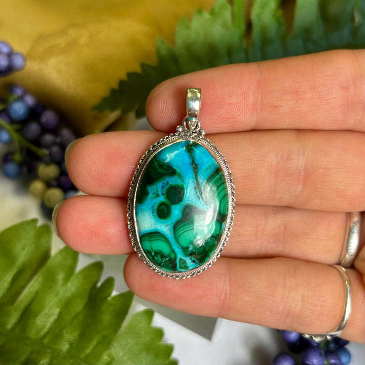 Malacolla SS Pendant -JCP423