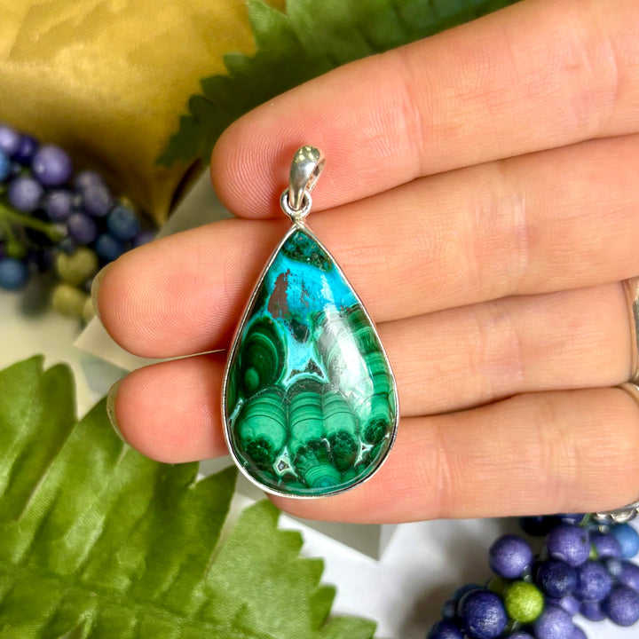 Mallacolla SS Pendant -JCP430