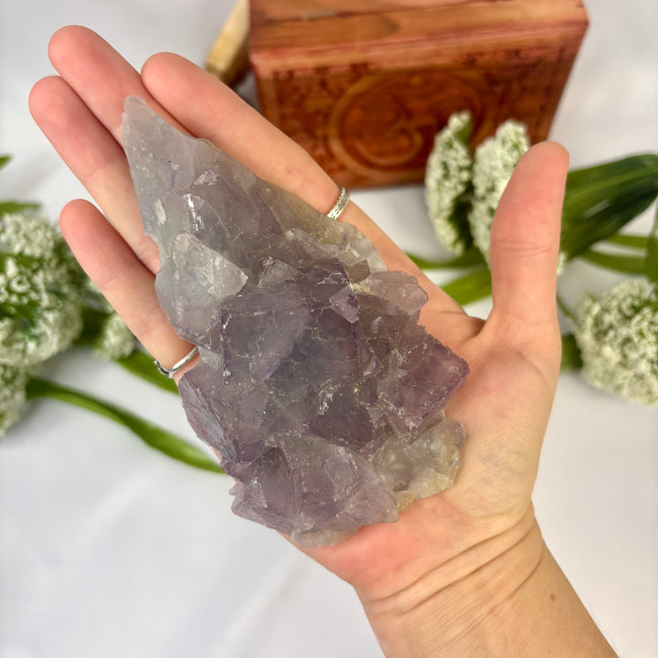 Chinese Fluorite Cluster -FL1-13