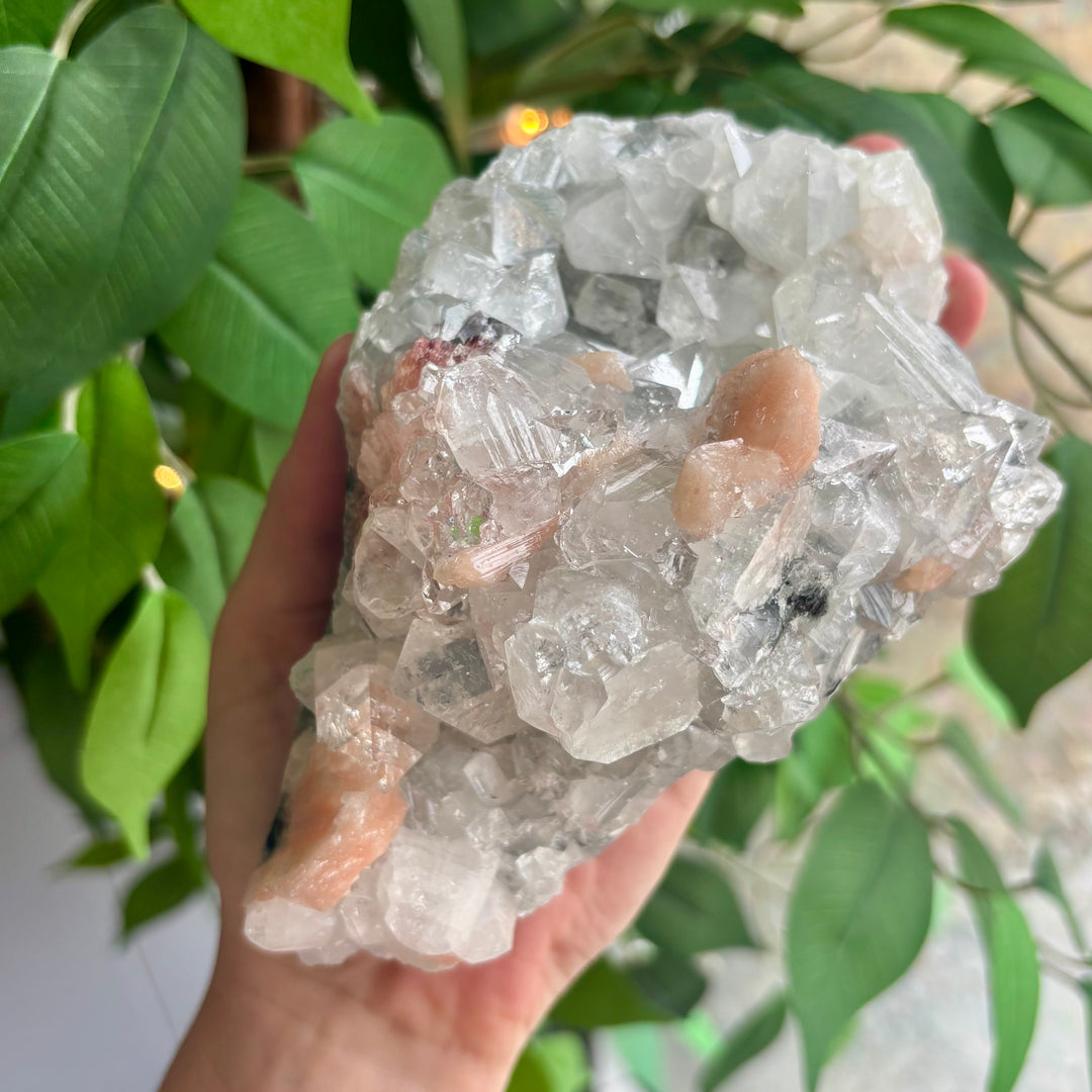 "AAA" Apophyllite Cluster APO4-11