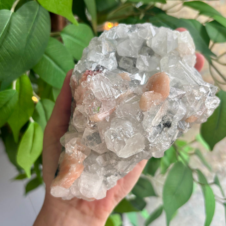 "AAA" Apophyllite Cluster APO4-11