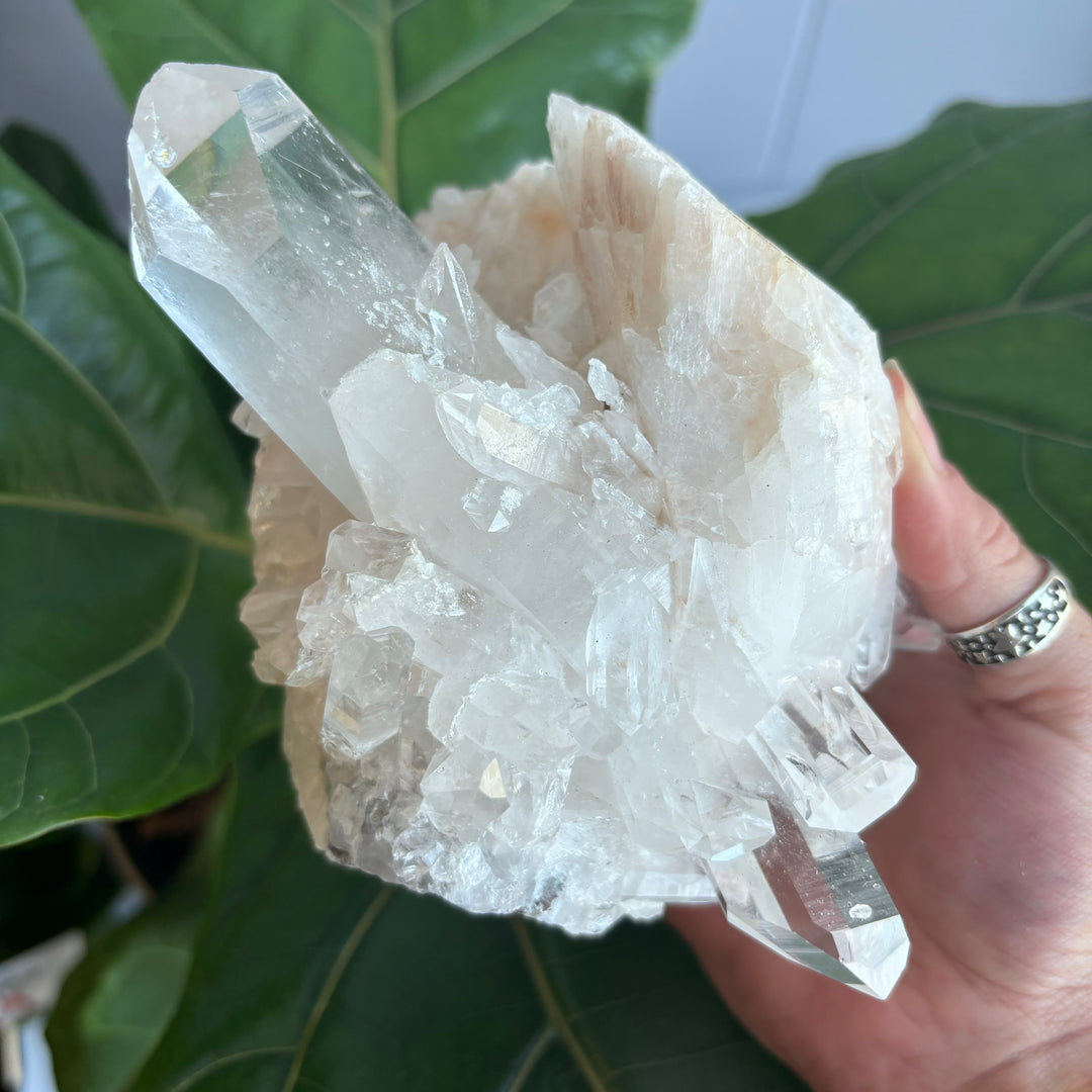 'AAA' Grade Lemurian Cluster LEM7-11