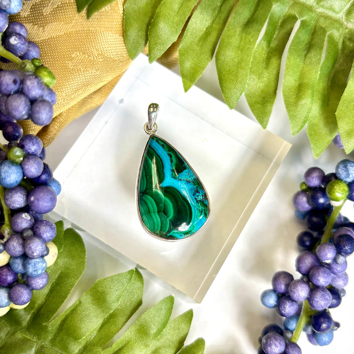 Malacolla SS Pendant -JCP459