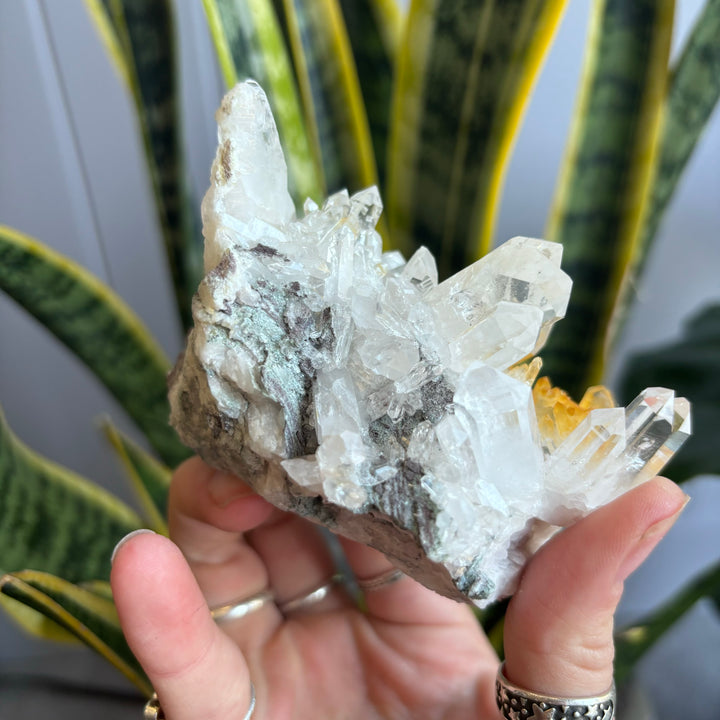 'AAA' Grade Lemurian Cluster LEM7-9