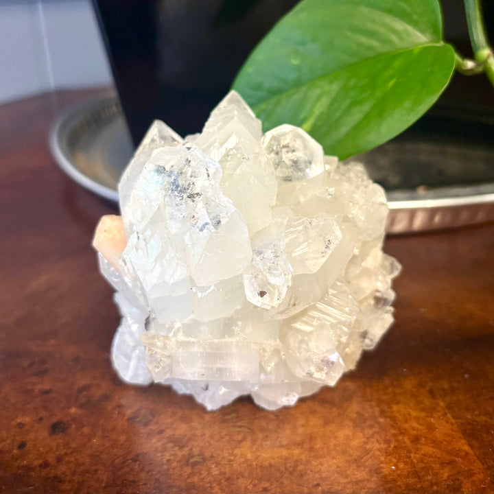 "AAA" Apophyllite Cluster APO4-14