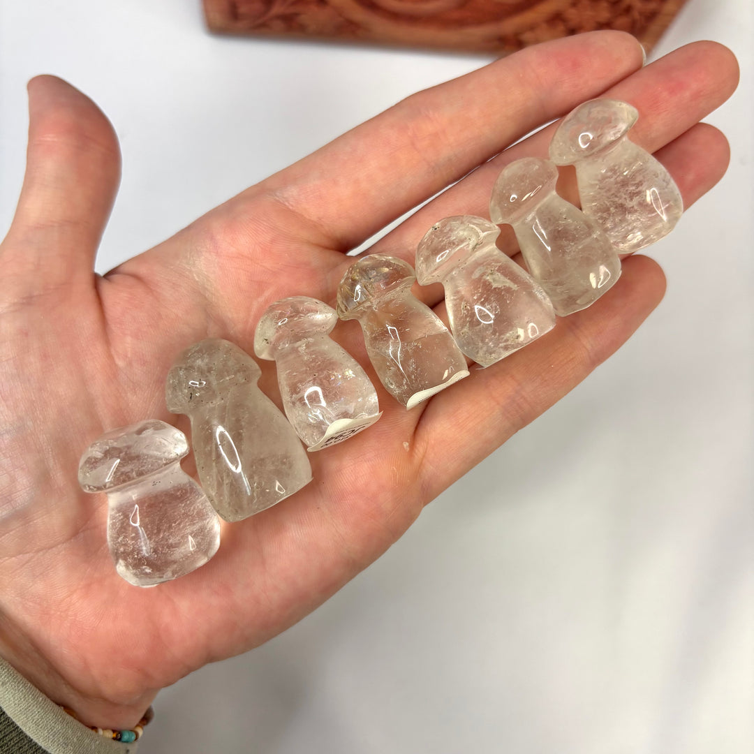 Crystal Mushroom JC94