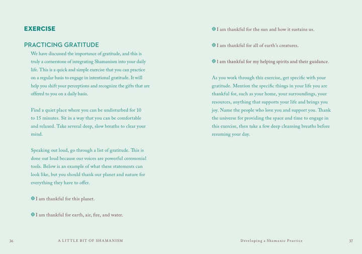 A Little Bit of Shamanism by Ana Campos