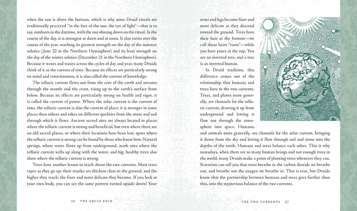 Druid Path by John Michael Greer