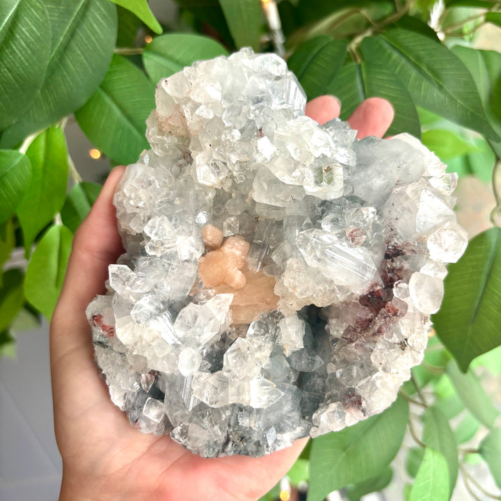 "AAA" Apophyllite Cluster APO4-10