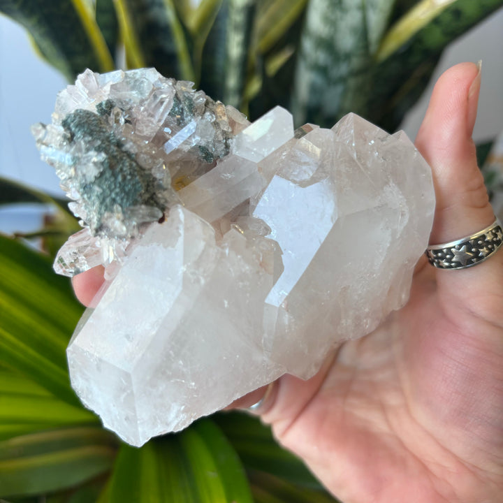 'AAA' Grade Lemurian Cluster LEM7-5