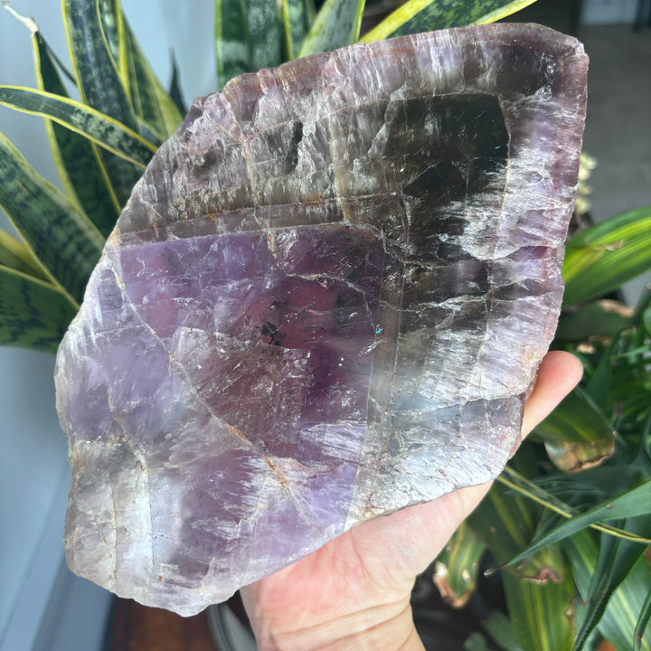 Auralite 23 Slice Specimen CGR1-4