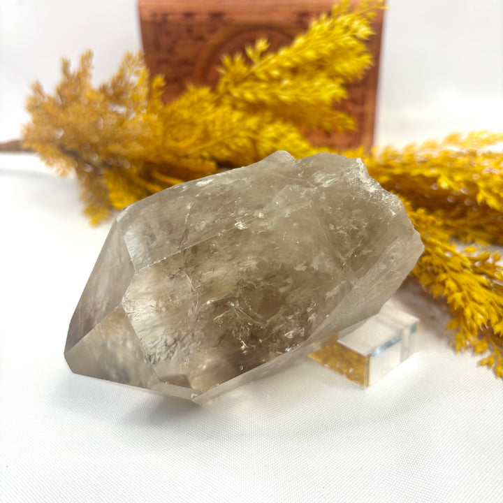 Smoky Lemurian Rough Point LEM1-18