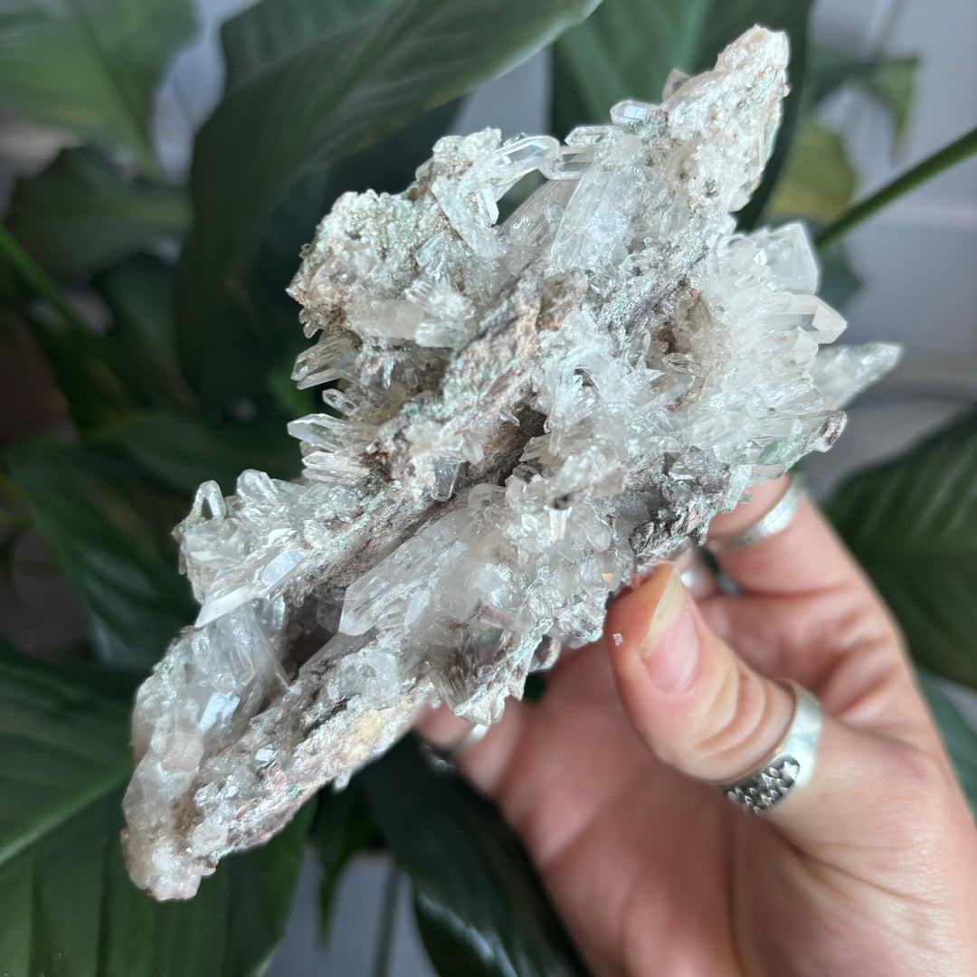 'AAA' Grade Lemurian Cluster LEM7-8