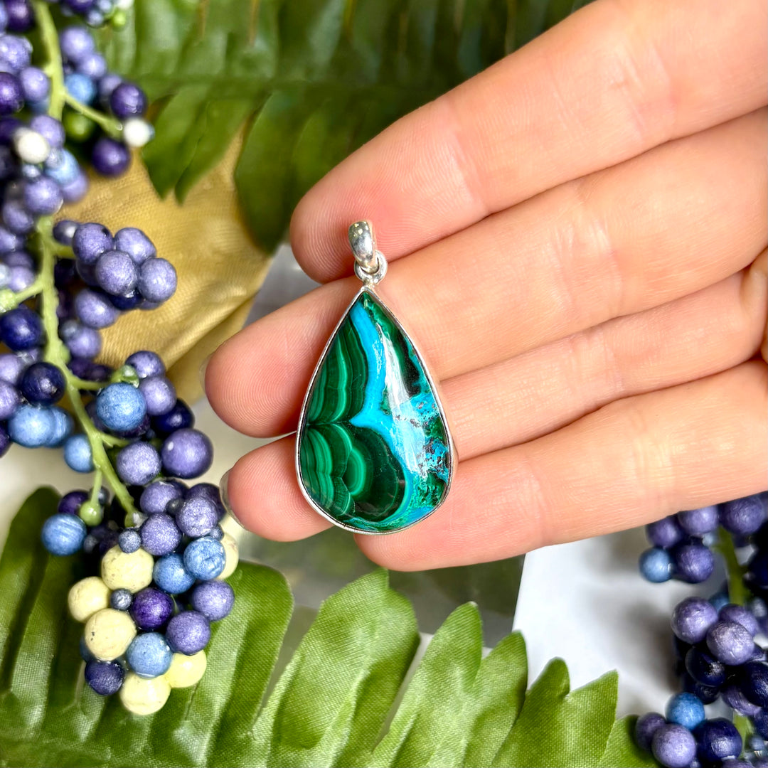 Malacolla SS Pendant -JCP459