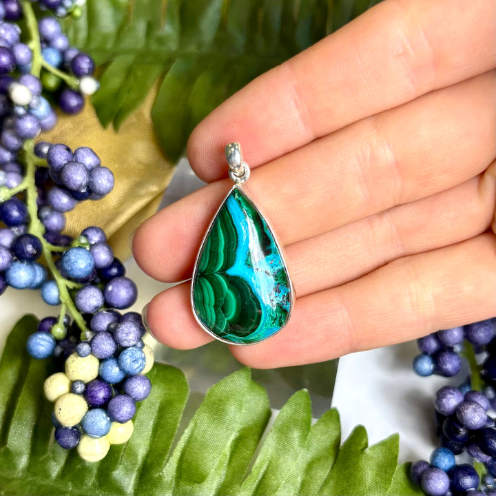 Malacolla SS Pendant -JCP459