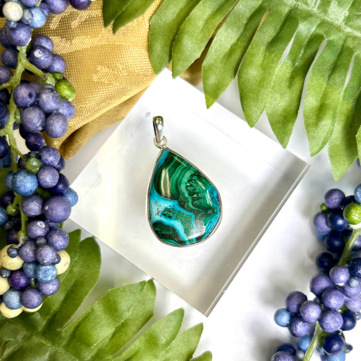 Malacolla SS Pendant -JCP458