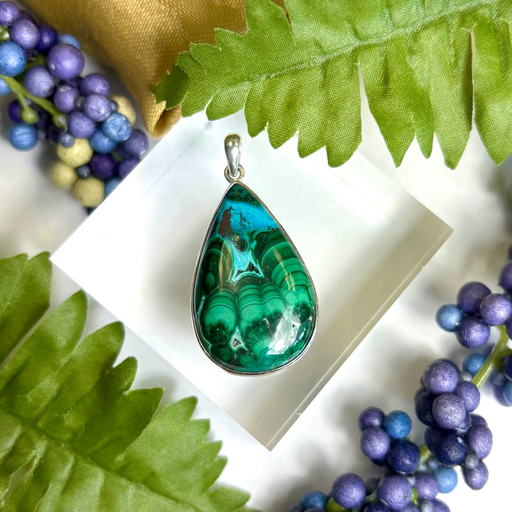 Mallacolla SS Pendant -JCP430