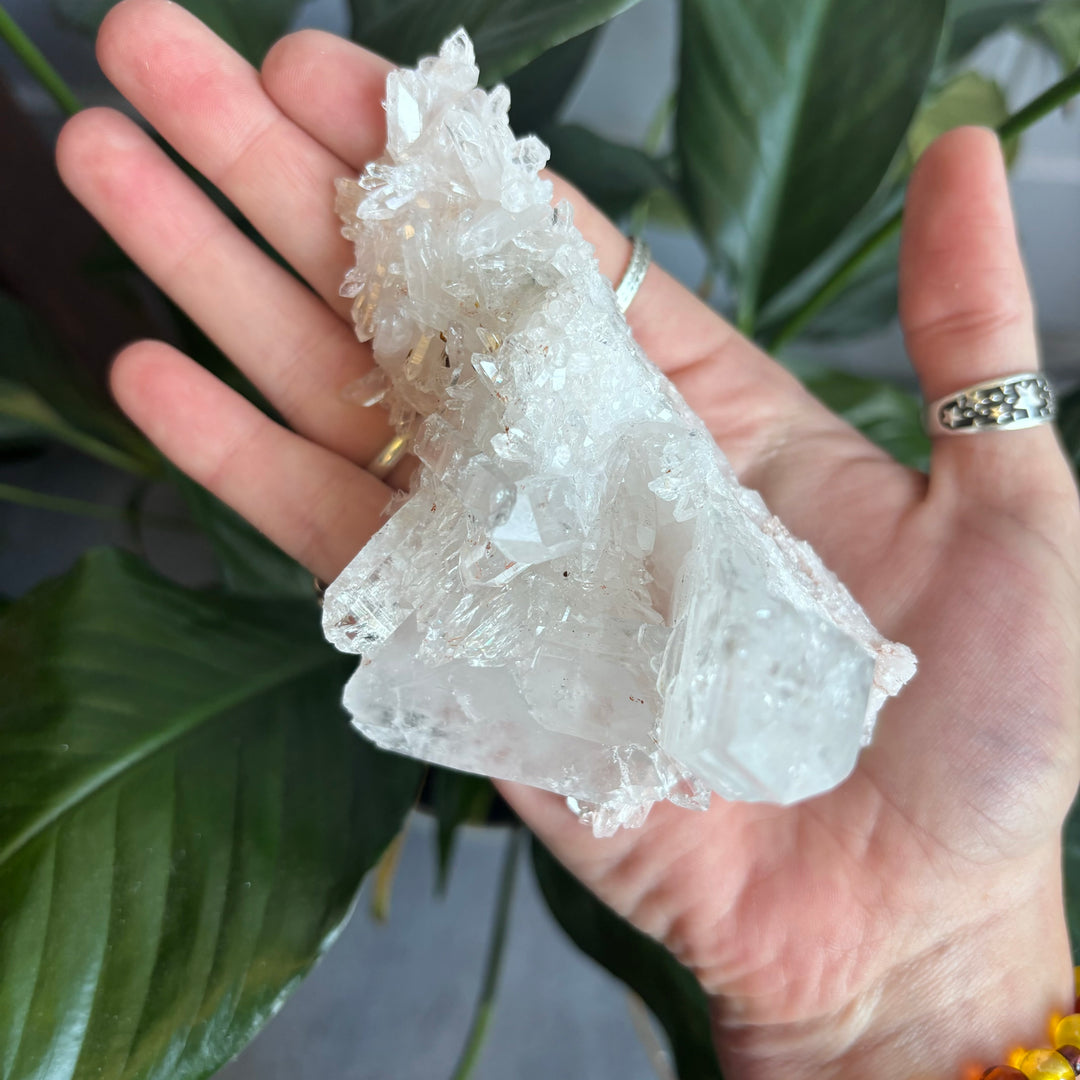 'AAA' Grade Lemurian Cluster LEM7-2