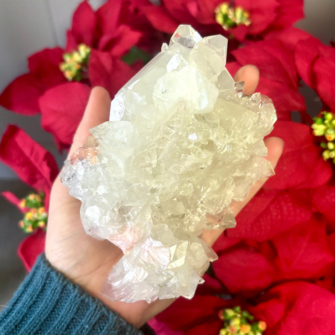 "AAA" Apophyllite Cluster APO4-15