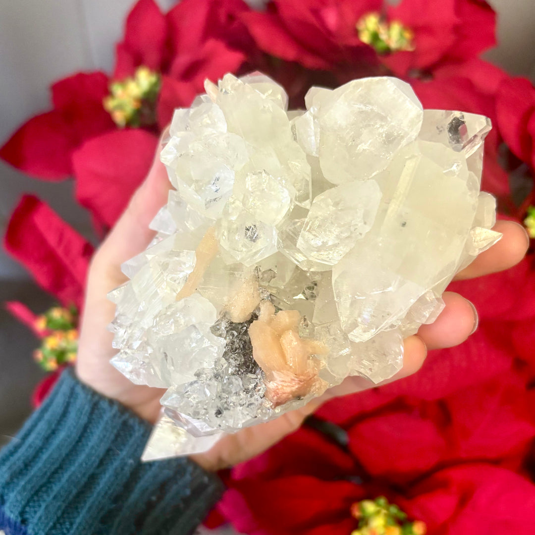 "AAA" Apophyllite Cluster APO4-15