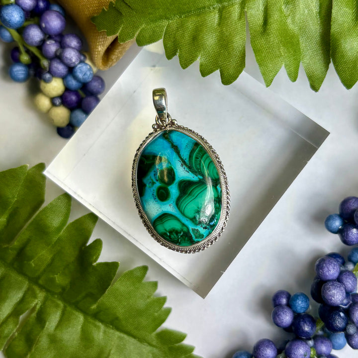 Malacolla SS Pendant -JCP423